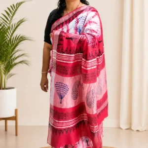 Red Cotton Linen Saree with Matt Silver Border