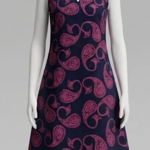 Blue & Rani A line Kurti
